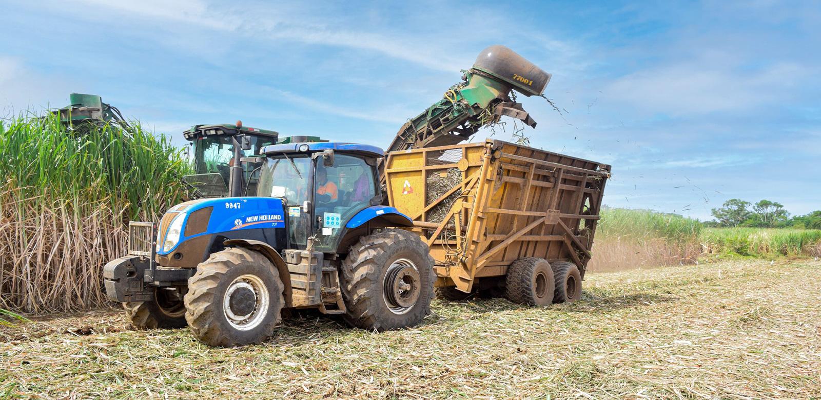 Agroindustria Azucarera de Nicaragua en su Zafra 2021/2022